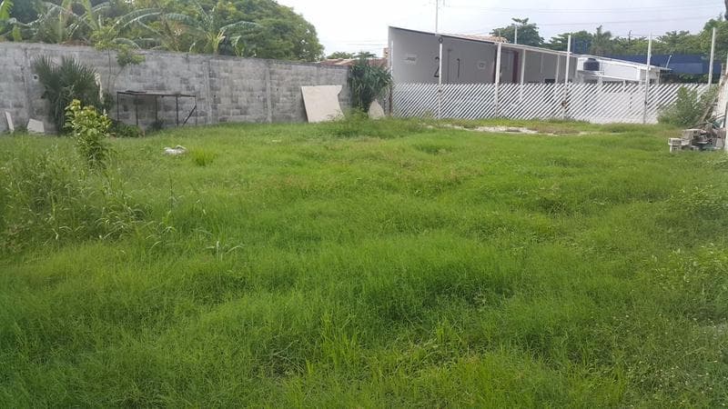 TERRENO PLANO DE 550 m2, EN RENTA. COL. FCO. I MADERO. - 1