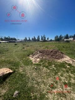 5 terrenos de 17 por 30 100 metros adelante de la municipalidad de Estancia Grande - 1