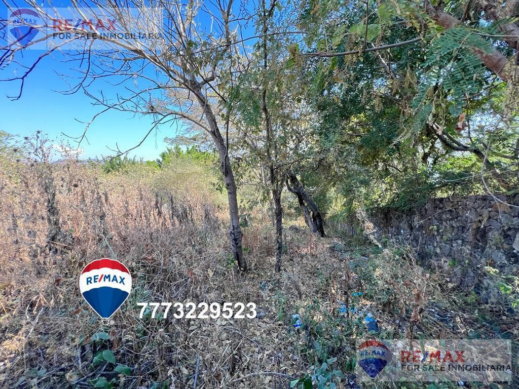 Terreno Cesión de Derechos, en Miacatlán, MorelosClave 4603 - 1