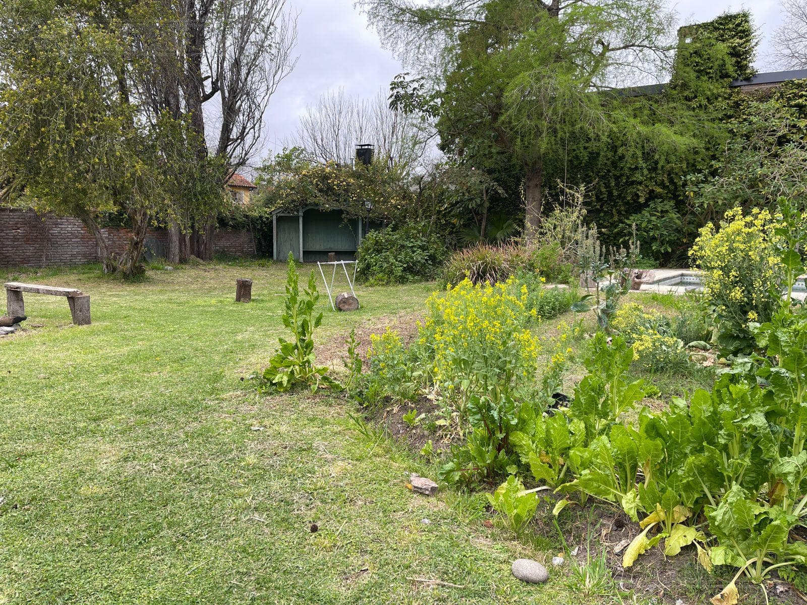 EXCELENTE TERRENO EN VENTA EN LA MEJOR ZONA DE LOMAS DE SAN ISIDRO - 1