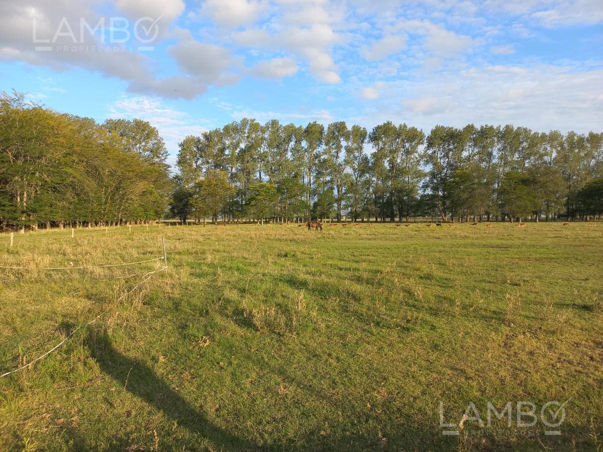 VENTA-LOTE-CHACRA-CARMEN DE ARECO-LA ALAMEDA - 1
