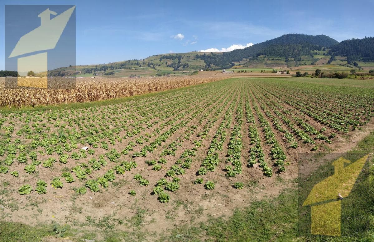 TERRENO EJIDAL EN VENTA EN ESQUINA CERCA DEL RESTAURANTE LAS PIÑAS Y LA SALIDA A TENANCINGO - 1