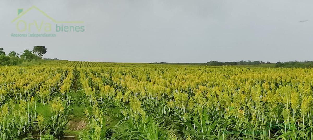 Terreno - Ejido San Antonio Rayón - 1