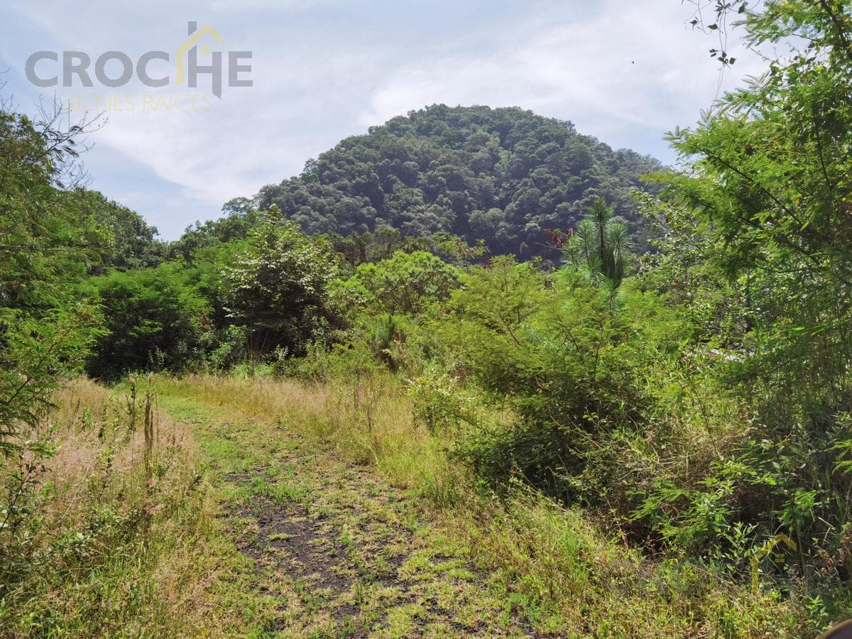 Terreno en venta en Coacoatintla Veracruz KM 9 con produccion de piedra - 1