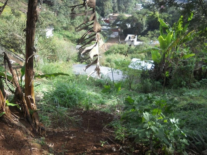 TERRENO EN DESNIVEL - 1