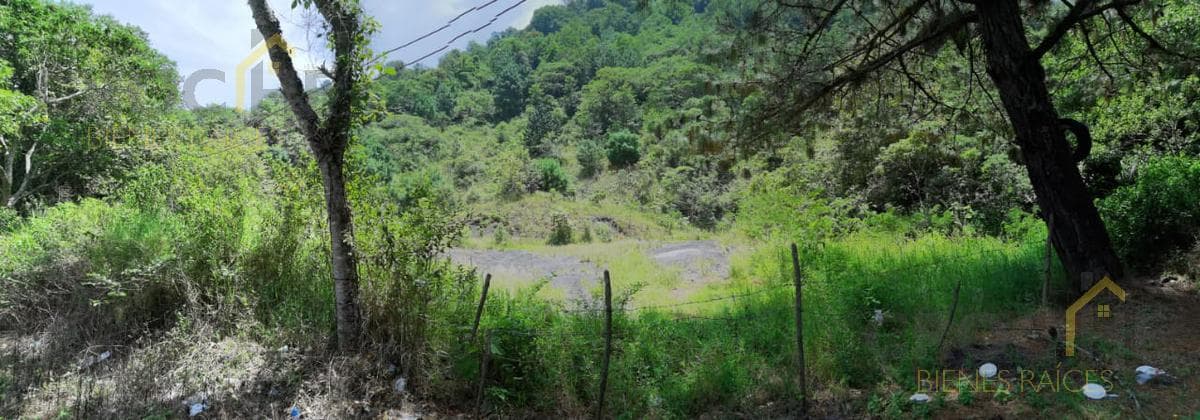 Terreno en venta en Coacoatzintla Ver sobre carretera con banco de grava - 1