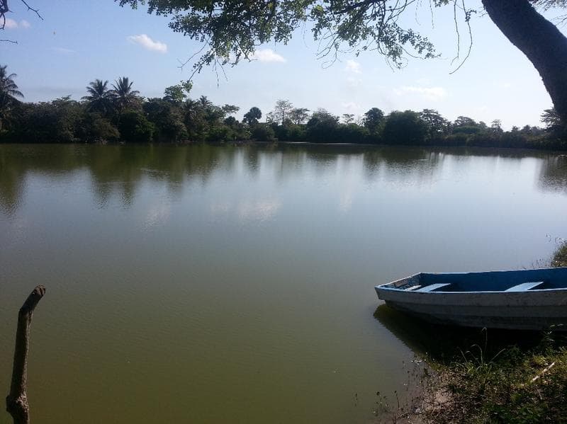 SE VENDE TERRENO DE 6.5 HAS EN SAN ANTONIO CARDENAS - 1