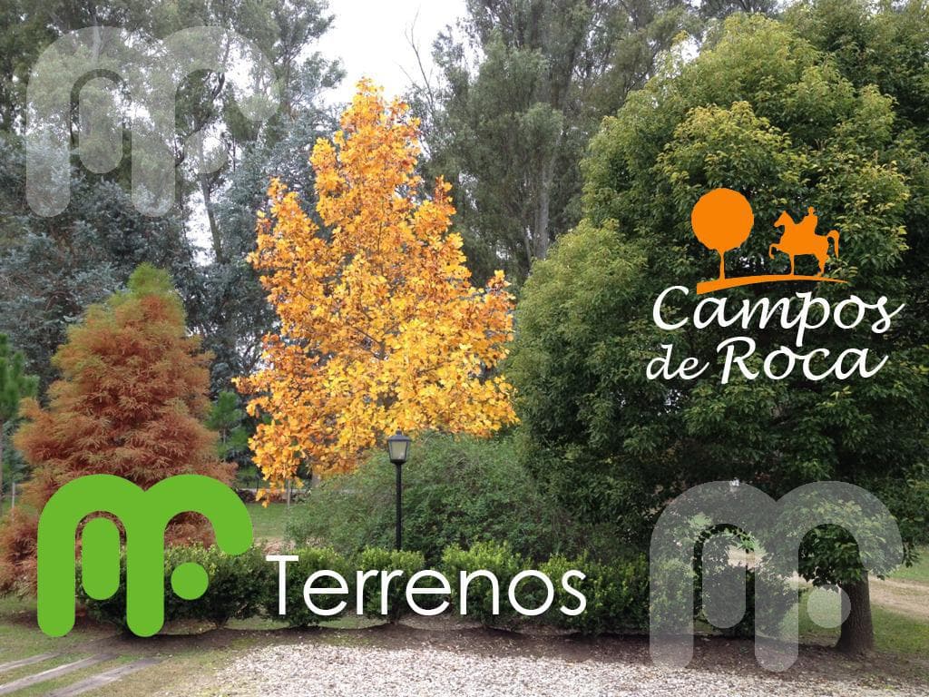 VENTA DE TERENO / LOTE EN CAMPOS DE ROCA - 1