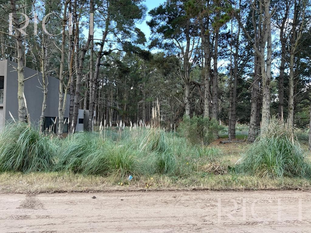 Lote en venta Costa Esmeralda arbolado y fondo libre único - 1