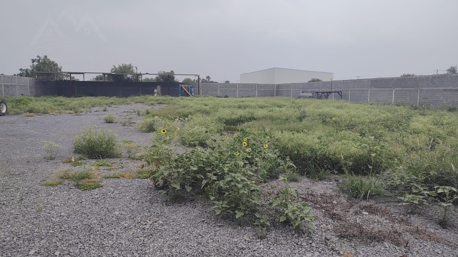 Terreno en renta de 4300 metros Escobedo Nuevo León - 1