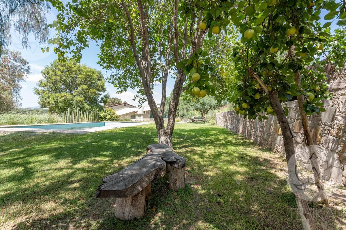 VENTA DE RANCHO EN DOLORES HIDALGO, GUANAJUATO A 20 MINUTOS DE SAN MIGUEL DE ALLENDE - 1