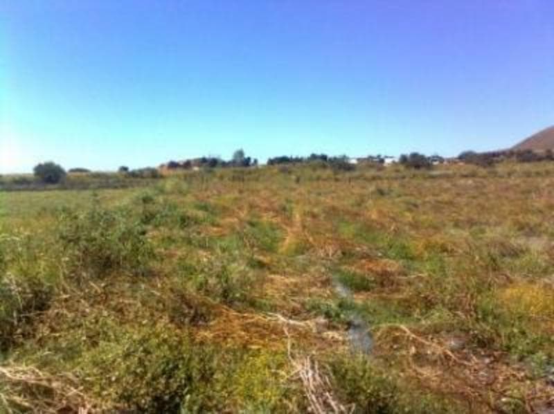 Terreno de 10,000 m en Venta en Huertas de Cuautla, Morelos - 1