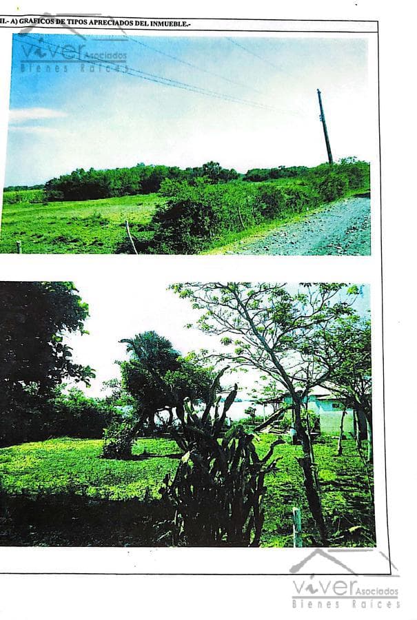 TERRENO EN IGNACIO DE LA LLAVE, IDEAL PARA AGRICULTURA - 1