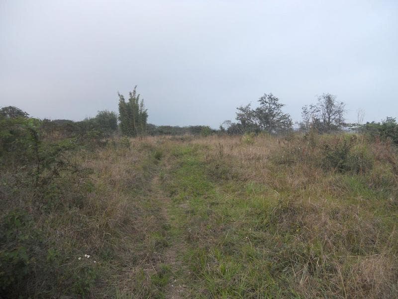 TERRENO GRANDE Y PLANO - 1