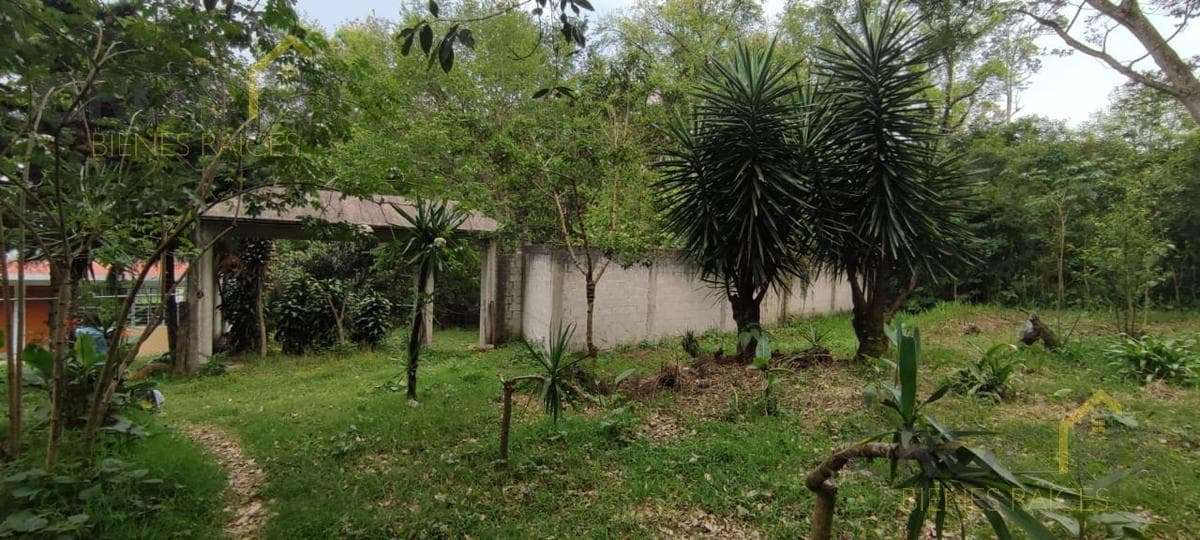 TERRENO ENVENTA EN PIEDRA DE AGUA EN JILOTEPEC VERACRUZ - 1