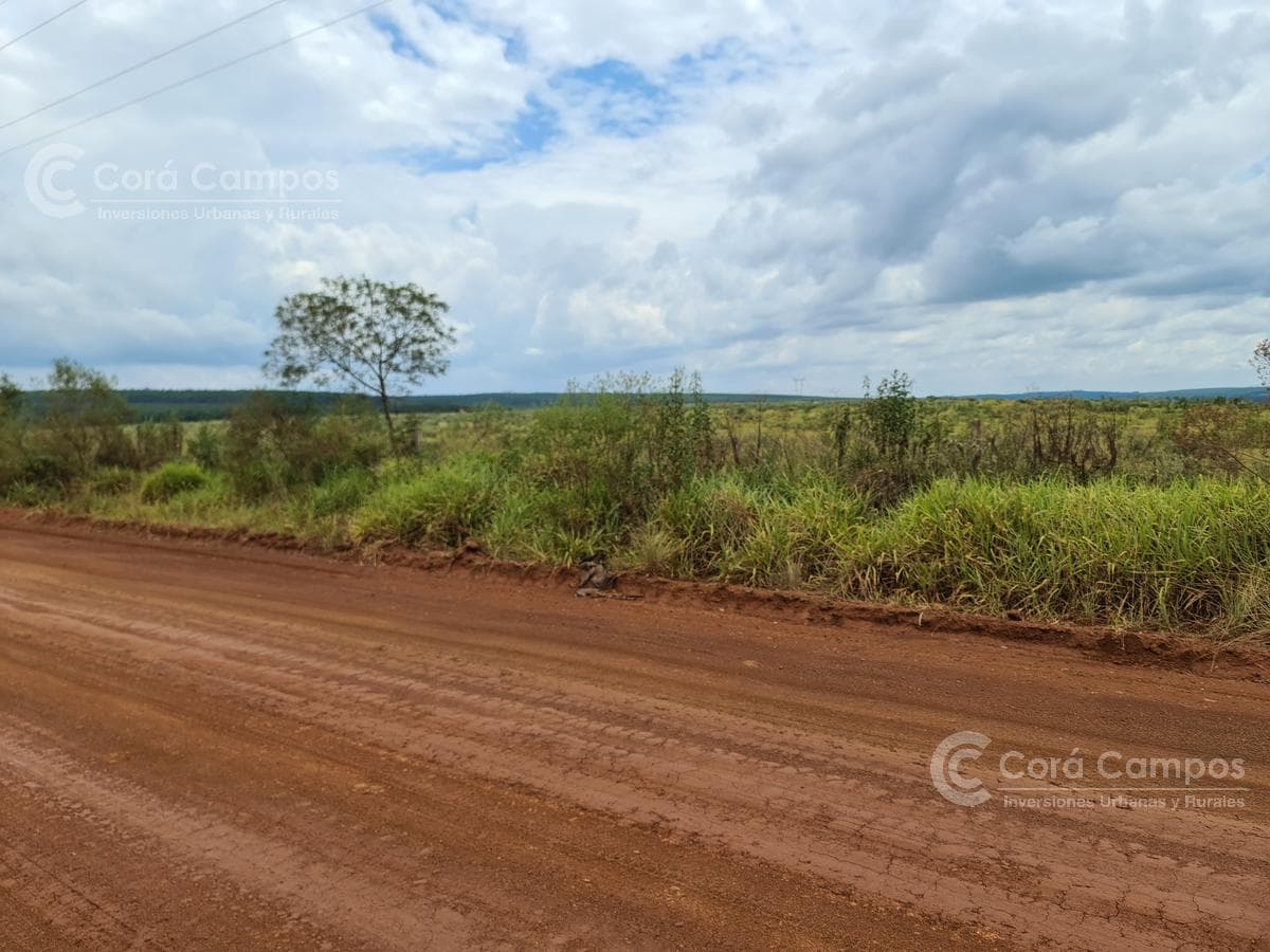 Se vende Campo Ganadero y Forestal a minutos de Virasoro Corrientes. Ruta 68 - 1