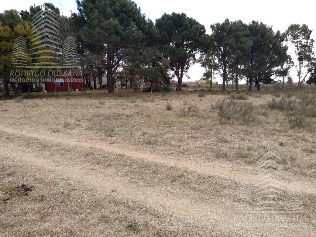 Terreno en Calle El Cangrejo -Paraje Pavon- - 1