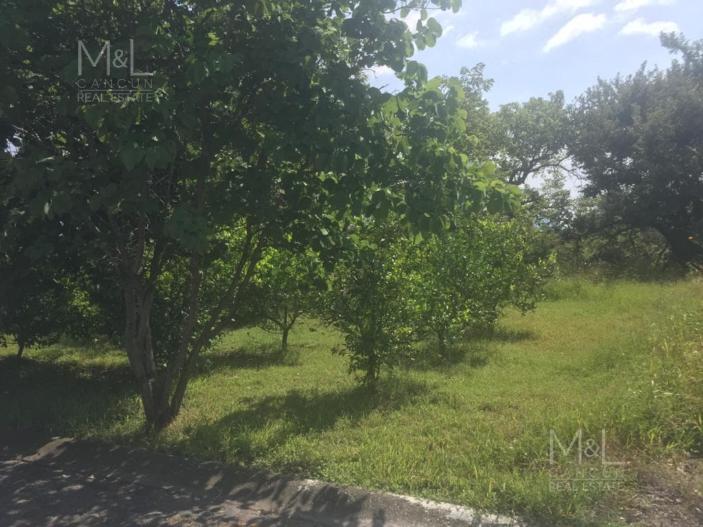 Terreno en Venta en Fraccionamiento Isla de Cuautla 1098 m2. Morelos - 1