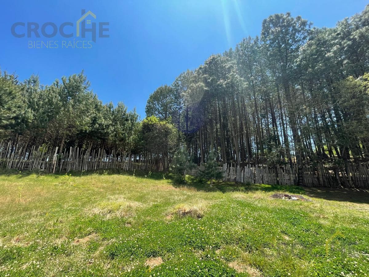 TERRENO EN VENTA EN LA COLONIA MANZANILLO MUNICIPIO DE LAS VIGAS DE RAMIREZ - 1