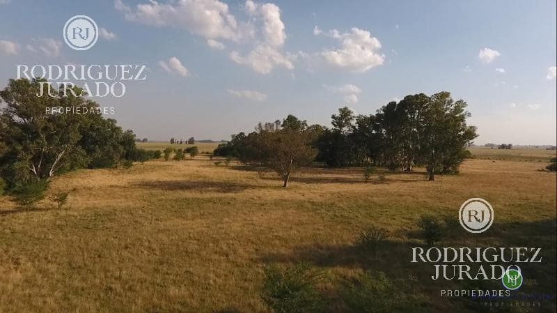 Campo de 53.3Ha - Tomas Jofre ÚNICA OPORTUNIDAD RE - TASADO - FINANCIACION - 1