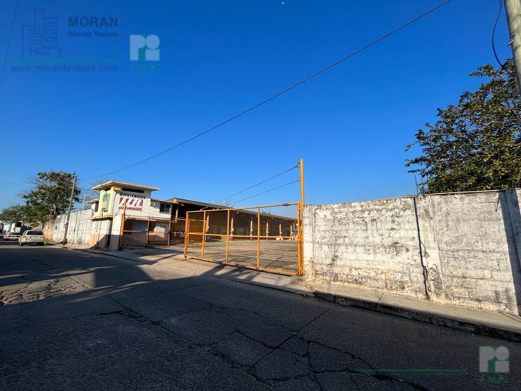 Terreno - Nueva Mina - 1