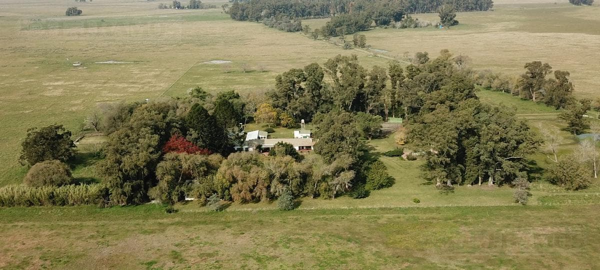 Campo en Venta Chascomús, Bs. As. - 1