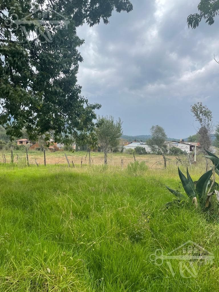 Terreno en venta - 1