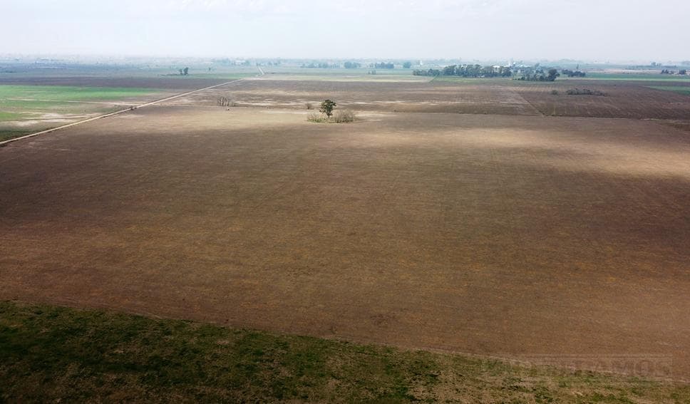 Campo en Venta. 106 ha agrícolas. Pergamino, BA. - 1