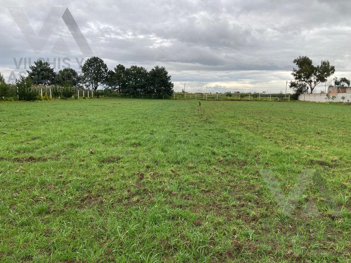 PREDIO EN VENTA EN TENANGO DEL VALLE, PARA DESARROLLADORES - 1