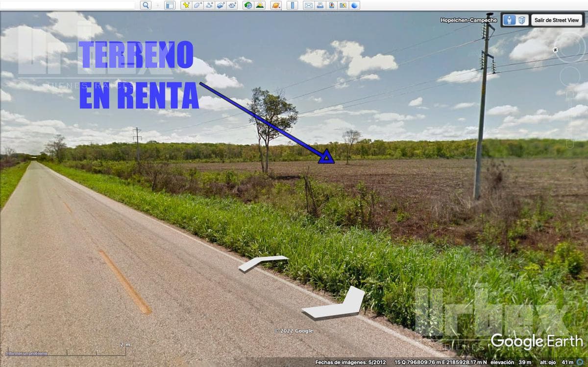 RENTO TERRENO EN CAYAL, CAMPECHE - 1