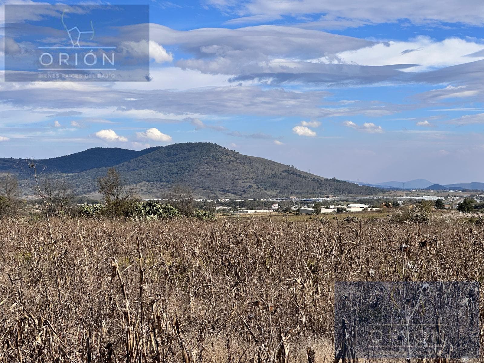 Terreno venta km 96 carretera Mexico Queretaro Jilotepec Estado de Mexico - 1