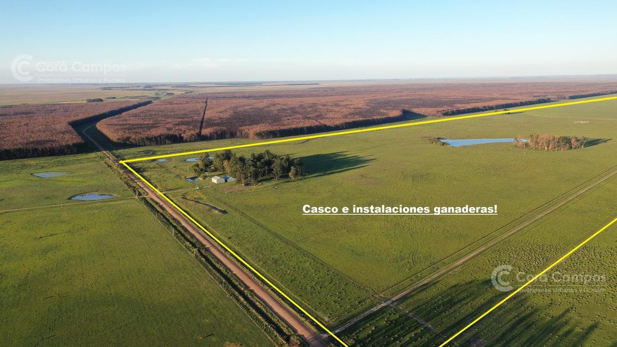 Se Vende Campo Foresto-ganadero de 885 ha en Paraje Galarza. Iberá. Corrientes - 1