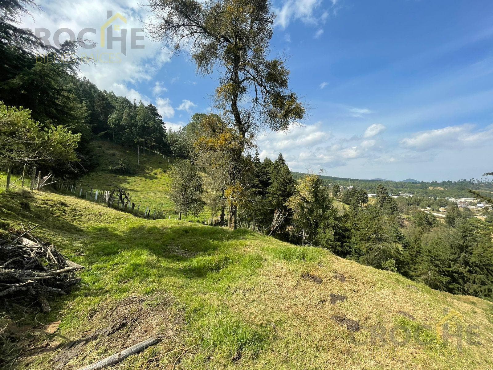Terreno en venta Mpio. Las Vigas zona de Toxtlacoaya - 1