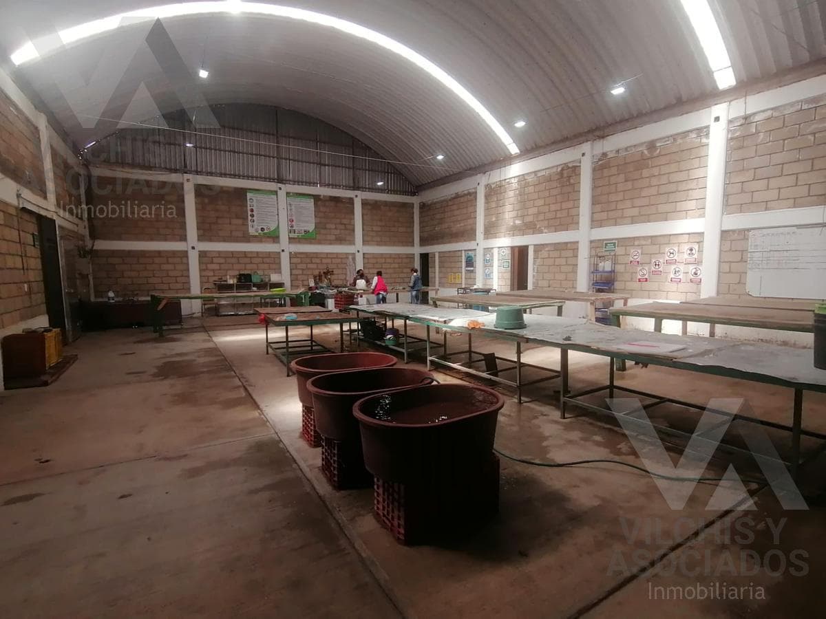 Bodega Industrial EN RENTA - Santa Cruz Atizapán - 1