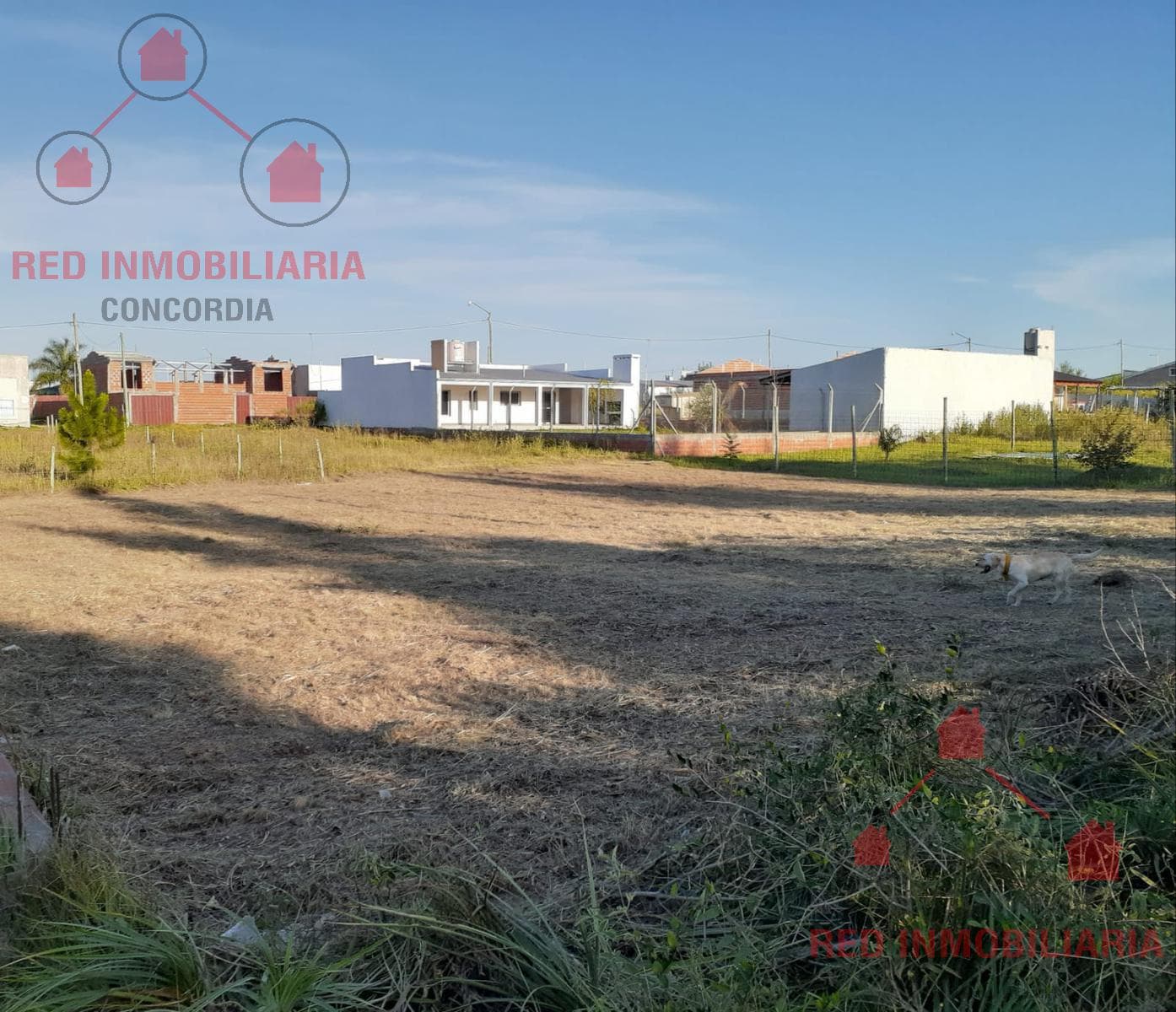 Terreno - Concordia - 1