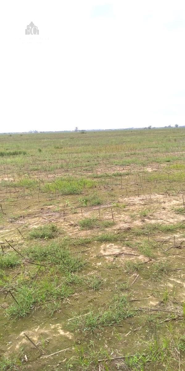 Campo en Colonia Piaggio - Agricola - Cerca de la Ruta - 1
