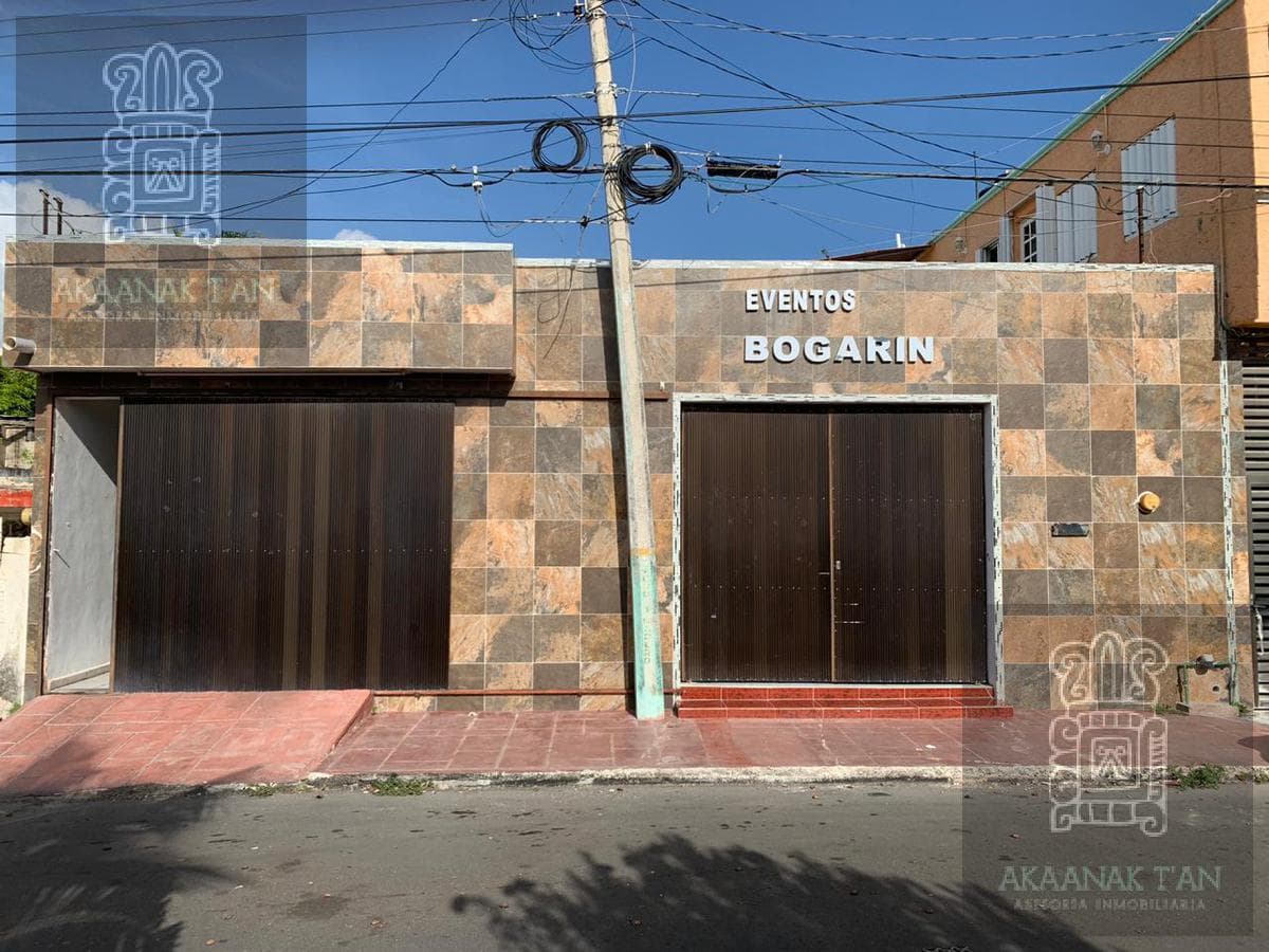Local - Chetumal - 1