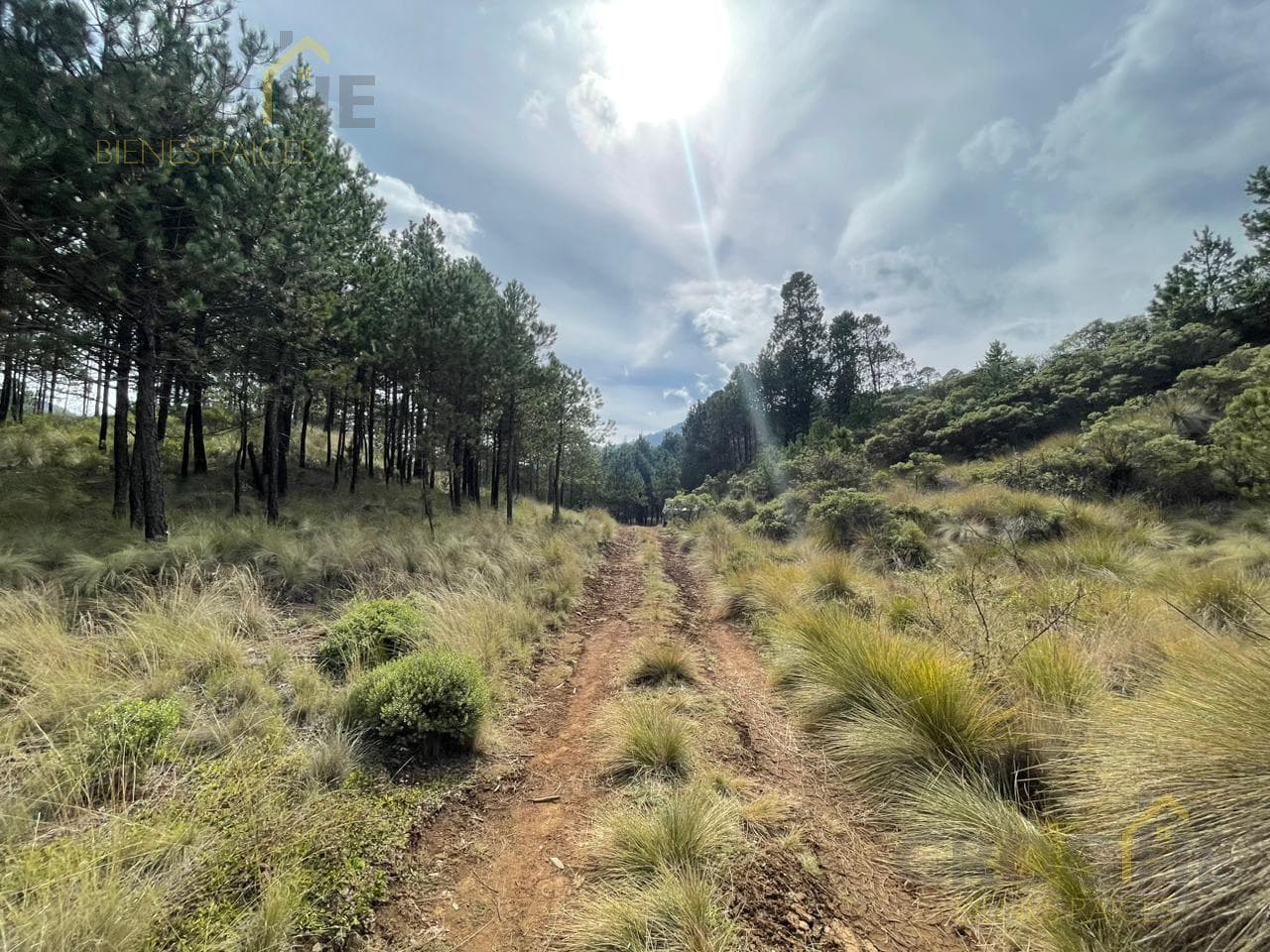 Terreno en venta en las vigas Zona cerro colorado - 1
