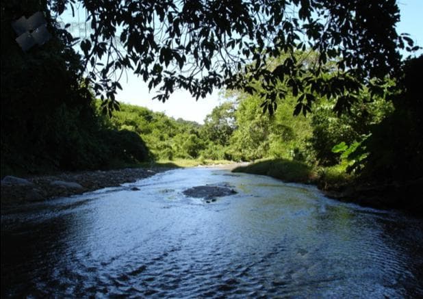 Terreno P/Desarrollo Venta 135HAS Sayulita $130,000,000 B389 E1 - 1