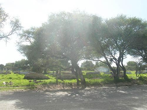 Excelente terreno sobre calle principal. - 1