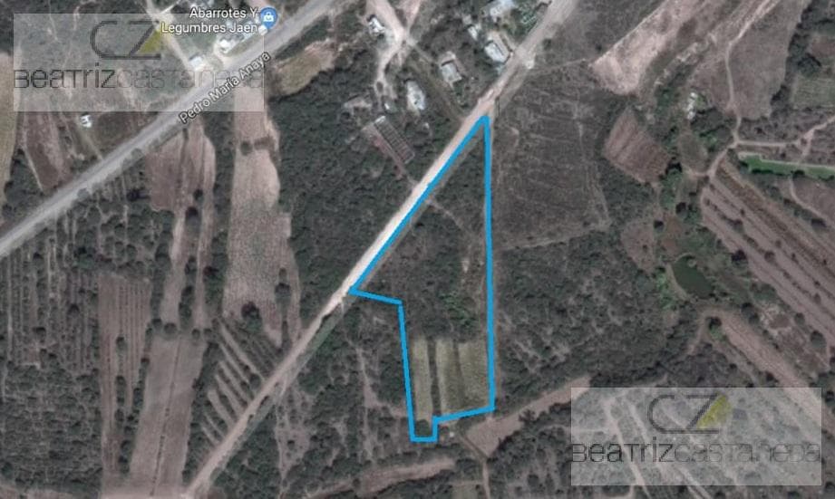 TERRENO PLANO, PROPIEAD, SERVICIOS. - 1