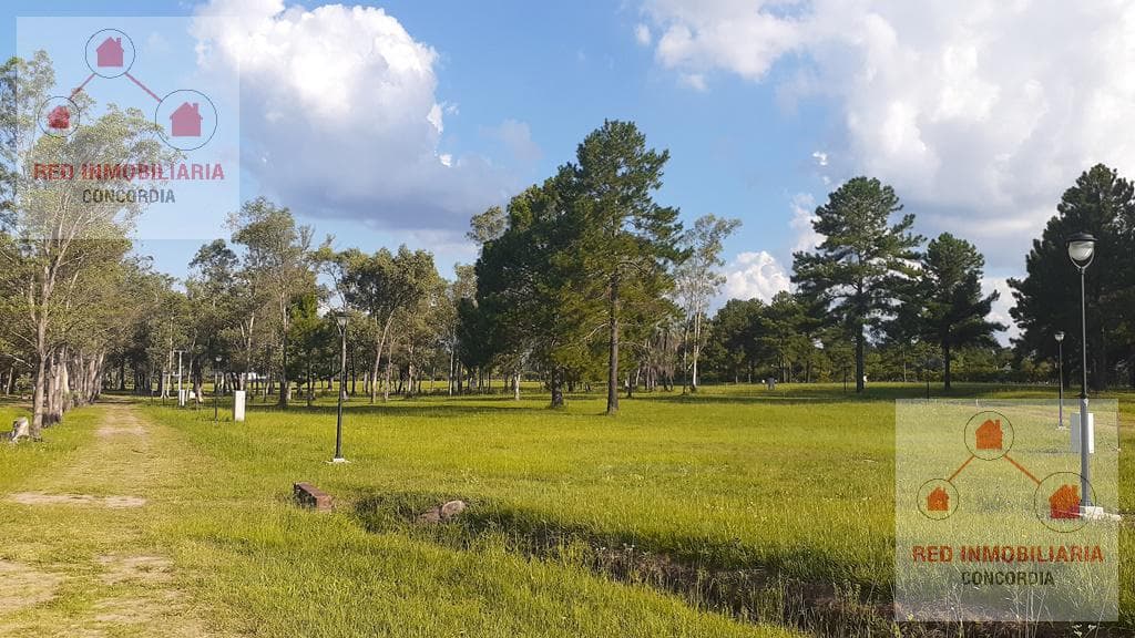 Terreno - Concordia - 1