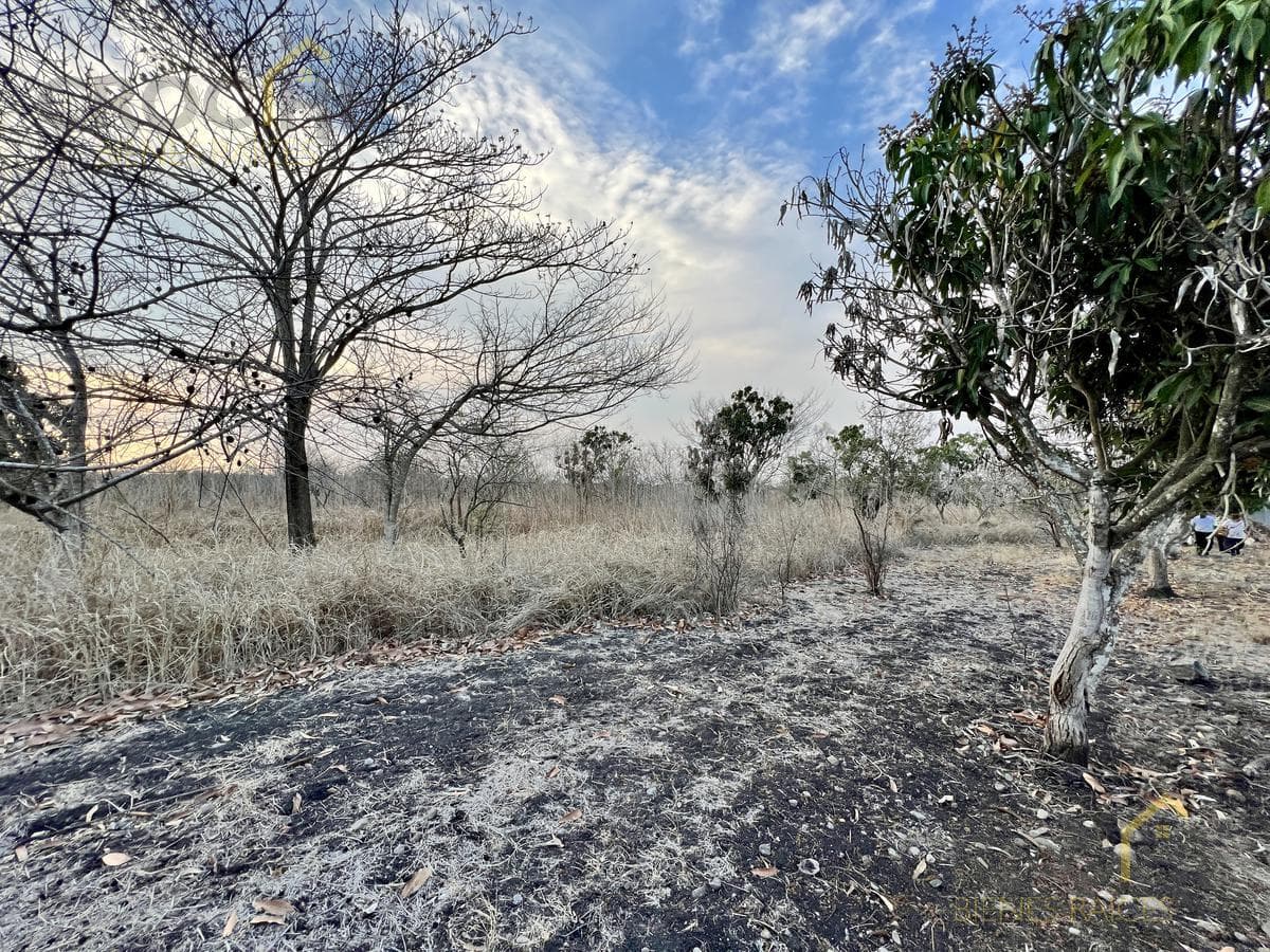 Terreno en venta en Tamarindo Veracruz sobre carretera frente al retén. - 1