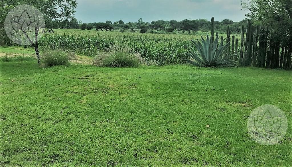 VENTA DE RANCHO EN DOLORES HIDALGO, GUANAJUATO A 20 MINUTOS DE SAN MIGUEL DE ALLENDE - 1
