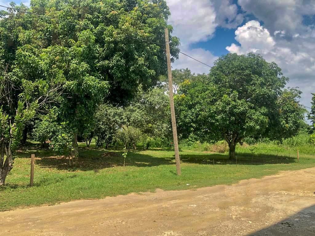 Terreno - La Garita - 1