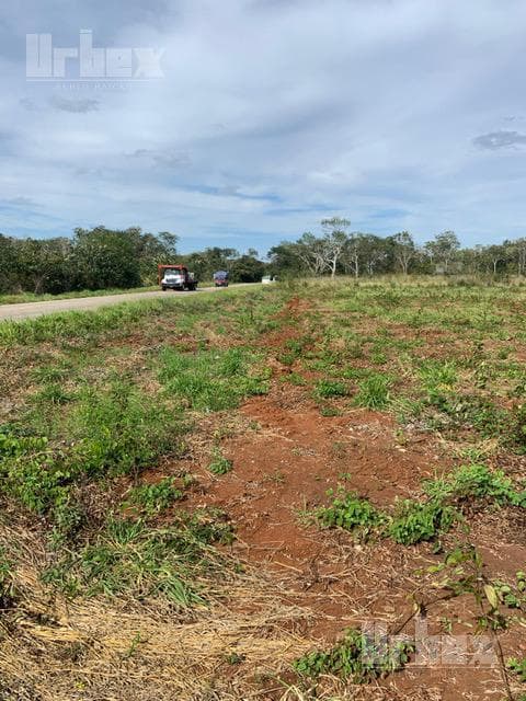 VENDO TERRENO EN HOPELCHEN, CAMPECHE A ORILLA DE CARRETERA - 1