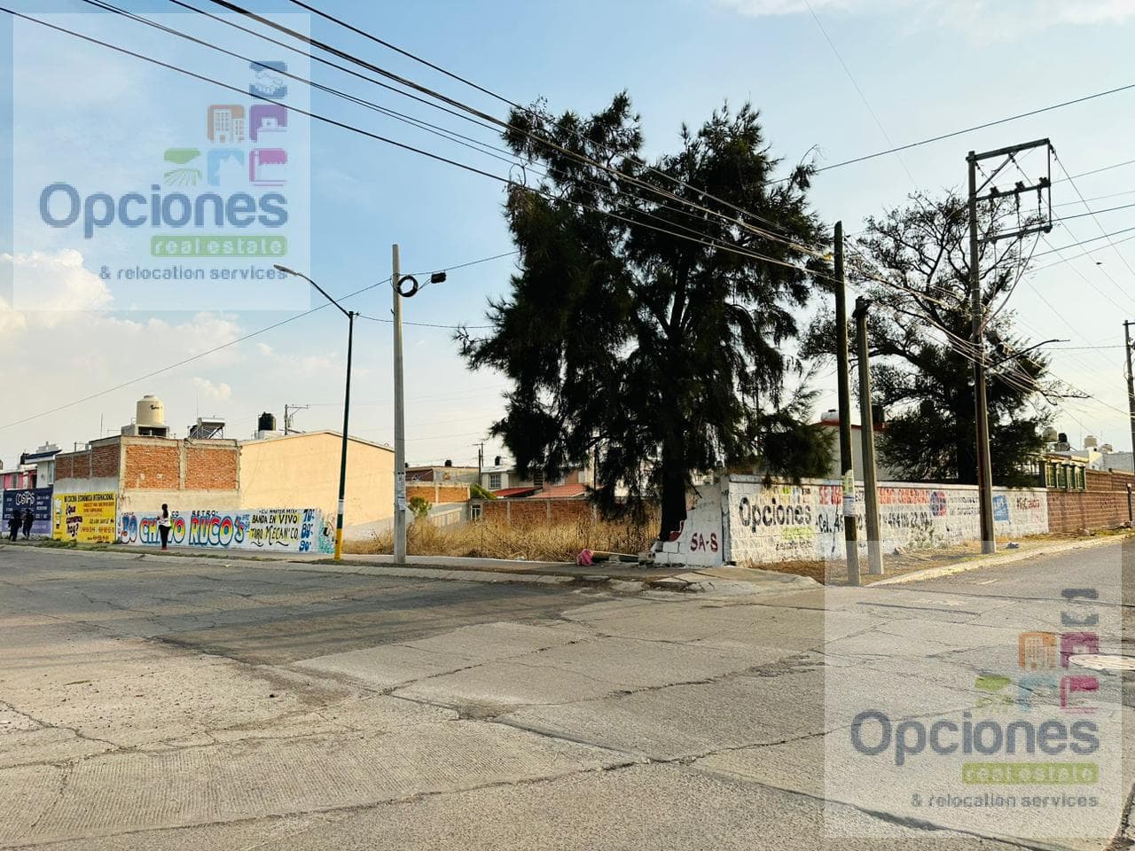 Terreno en RENTA - 1