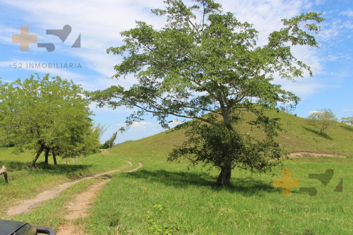 Rancho En Venta Puebla. Teziutlán - 1