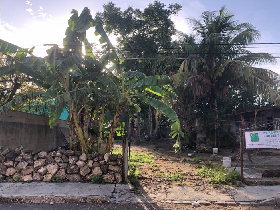 Terreno en excelente ubicación en renta - 1