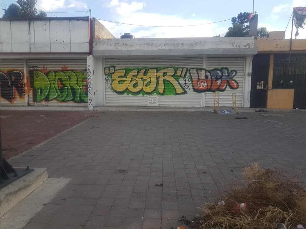 VENTA O RENTA INMUEBLE COMERCIAL LOS REYES, ESTADO MEXICO - 1